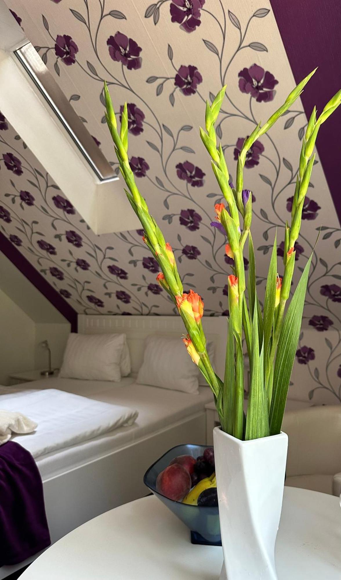 Wellness Penzion Harmonie Rohanov ปราฮากิเต ภายนอก รูปภาพ